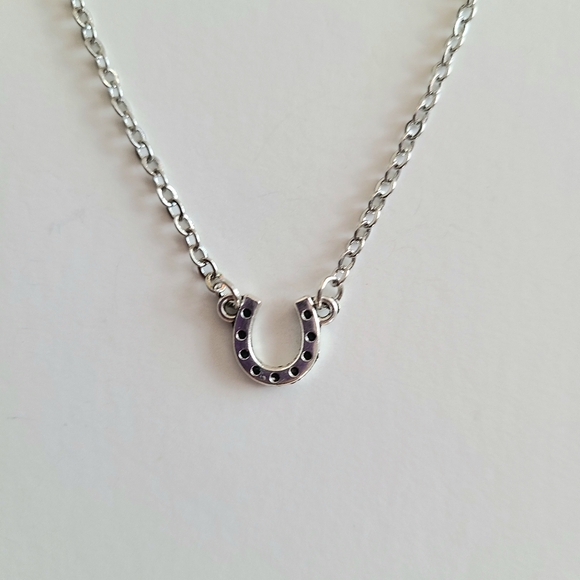 Silver Horseshoe Necklace - Picture 1 of 7